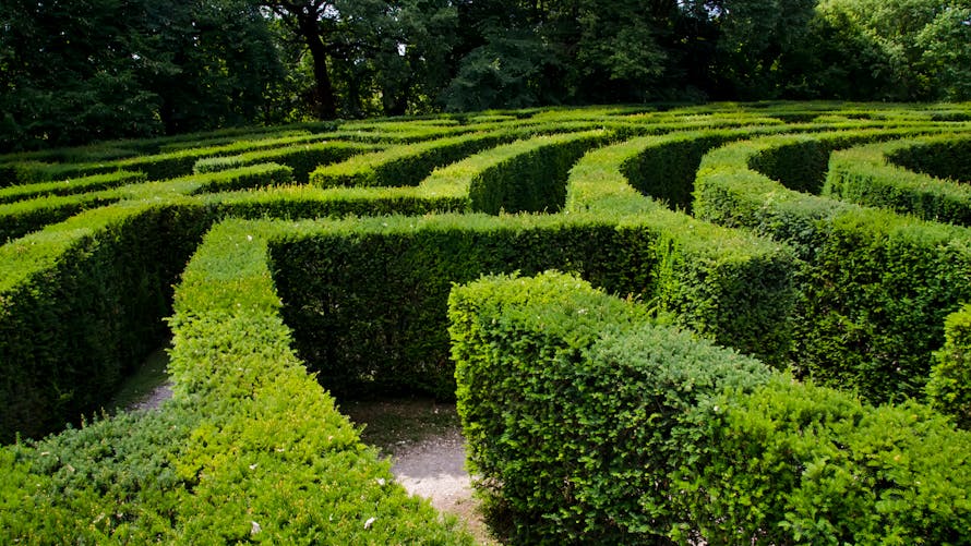 le labyrinthe végétal