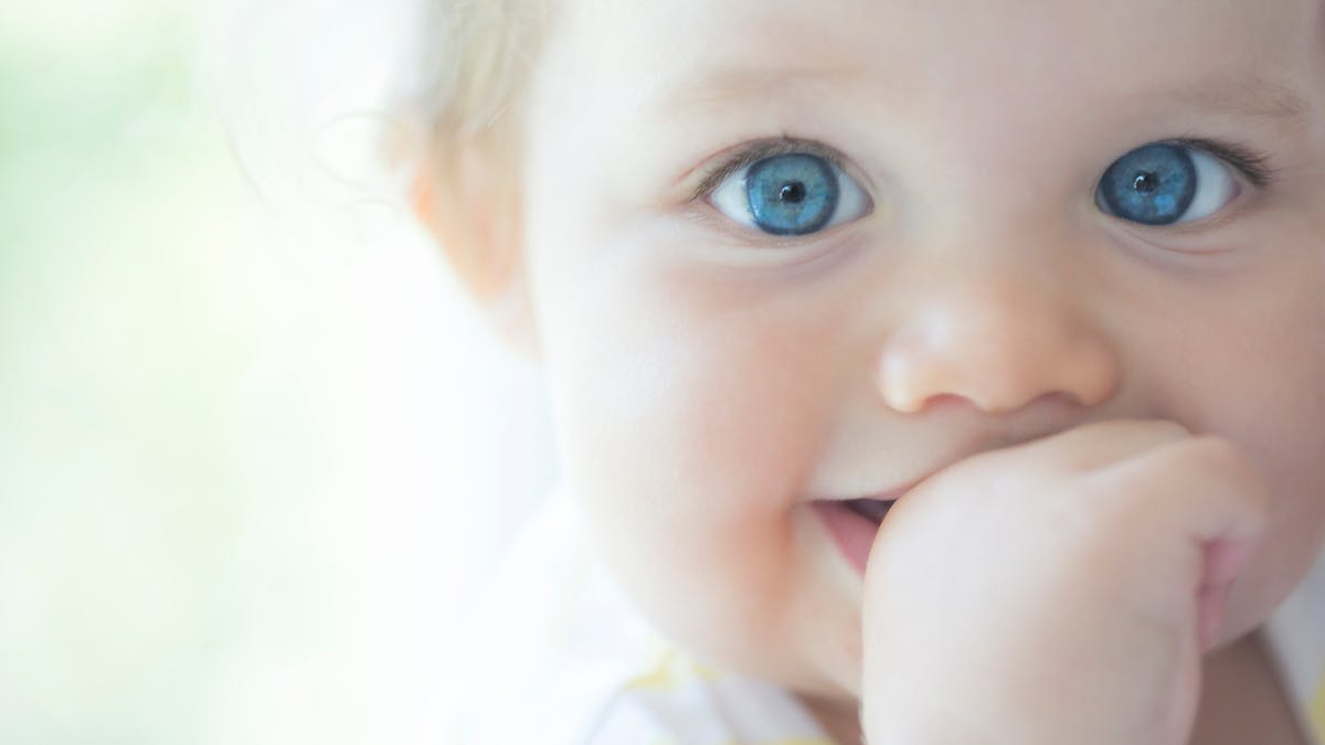 Tout Savoir Sur Les Vegetations Adenoides De Bebe Parents Fr Tout Savoir Sur Les Vegetations Adenoides De Bebe Parents Fr