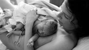 Elle lèche son bébé après l’accouchement : la photo débat