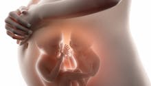 Dotée de deux utérus, elle tombe enceinte des deux en même temps