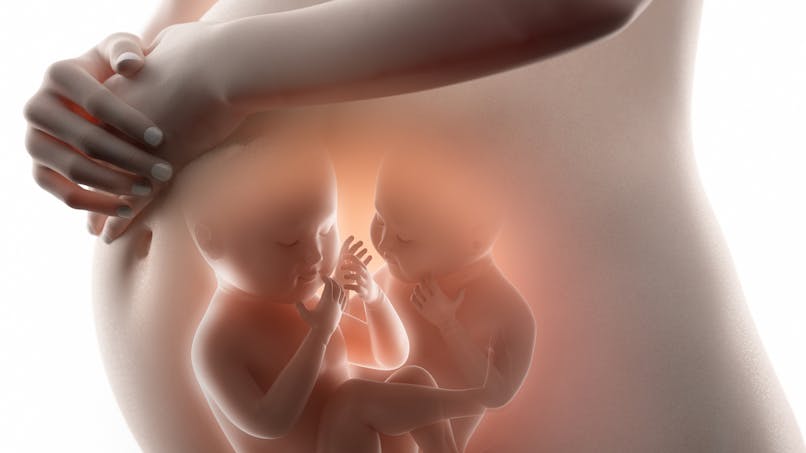 Dotee De Deux Uterus Elle Tombe Enceinte Des Deux En Meme Temps Parents Fr Dotee De Deux Uterus Elle Tombe Enceinte Des Deux En Meme Temps Parents Fr