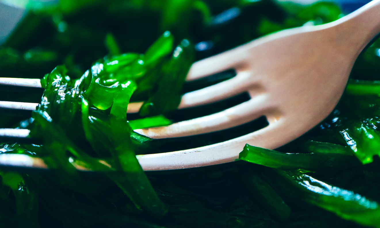 La Consommation Excessive D'algues Peut Être Mauvaise Pour La Santé |  Parents.fr