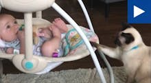 L’adorable vidéo d’un bébé bercé par... un chat !