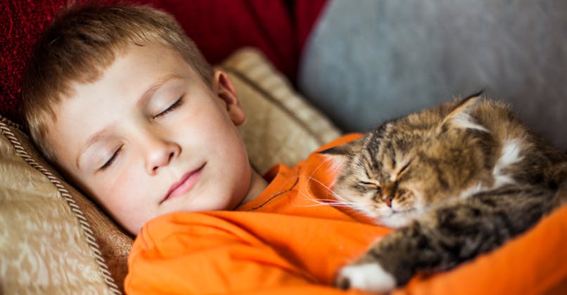 Un garçon dormant avec un chat