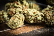 Cannabis : trois fois plus d’enfants intoxiqués en 4 ans