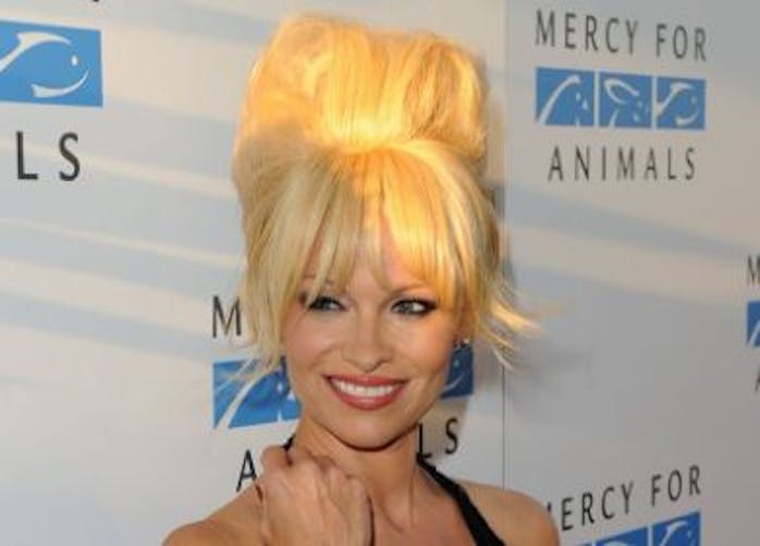 Pamela Anderson envisagerait d’être de nouveau maman à 51 ans