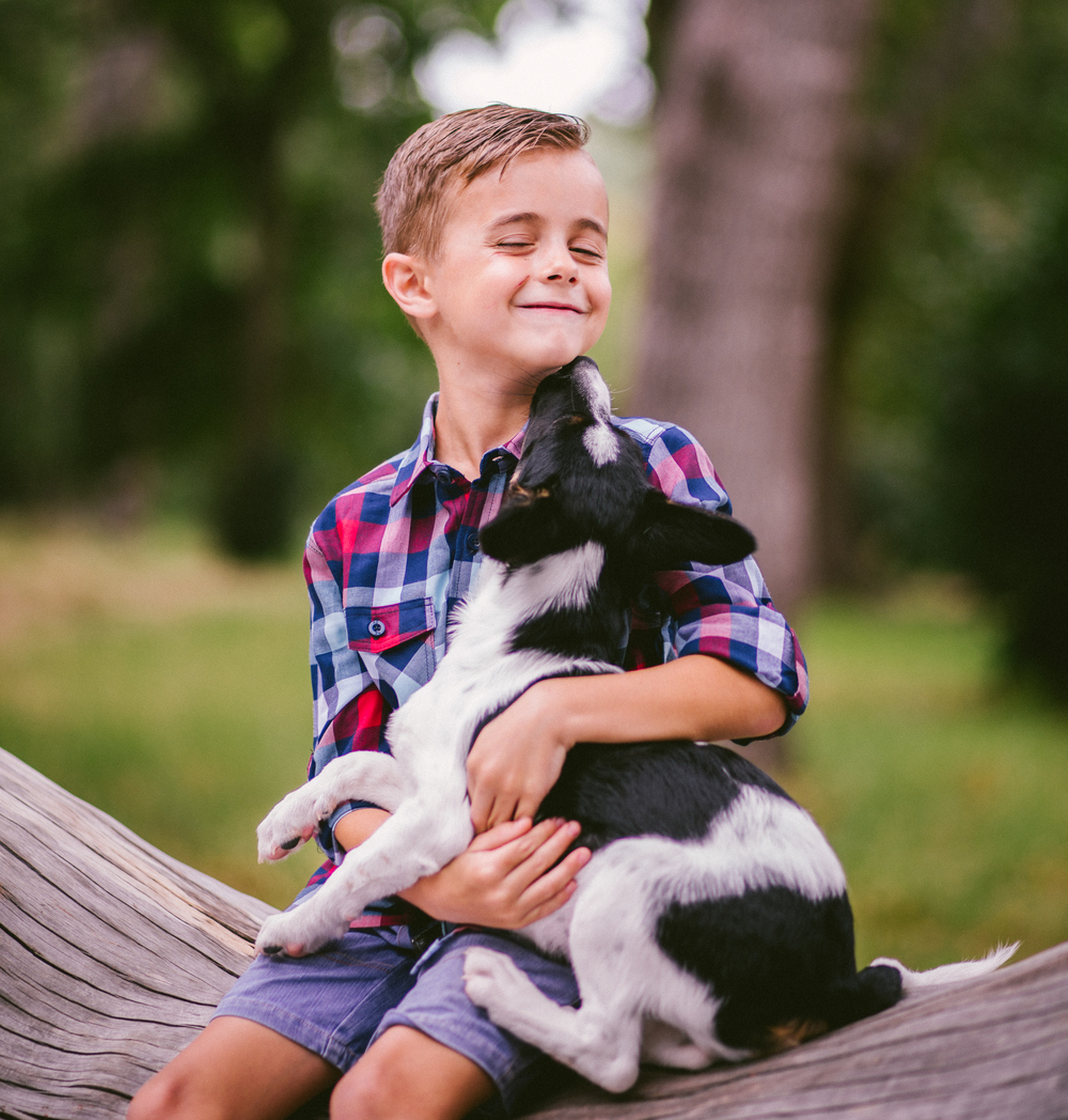 La Salive Des Chiens Et Des Chats Dangereuse Pour Les Humains Parents Fr