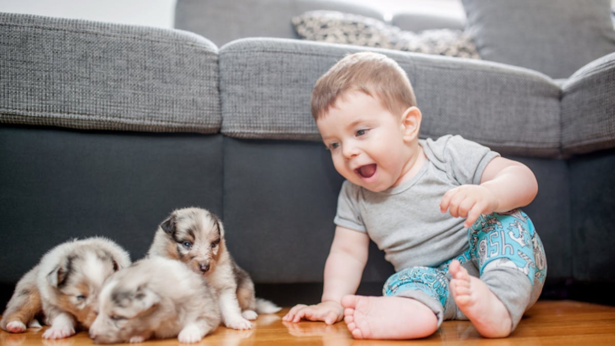 Les Prenoms De Garcon Par Lettre L Abecedaire Des Prenoms Masculins Parents Fr Les Prenoms De Garcon Par Lettre L Abecedaire Des Prenoms Masculins Parents Fr
