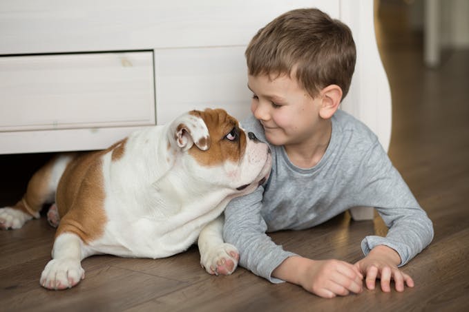 un petit enfant et son chien face à face
