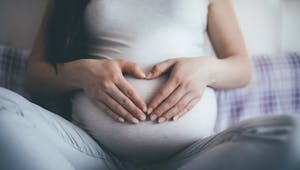 Les trois trimestres de la grossesse