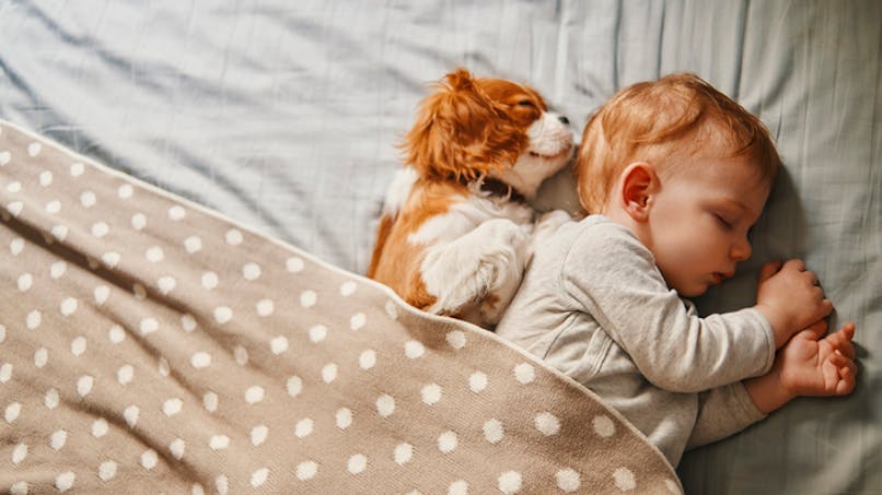 bébé dort avec son chien