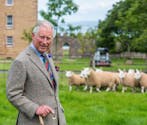 Le Prince Charles inquiet pour ses petits-enfants : pourquoi ?
