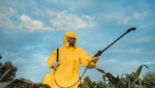 Pesticides : quels sont les départements qui en consomment le plus ? 