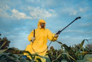 Pesticides : quels sont les départements qui en consomment le plus ?