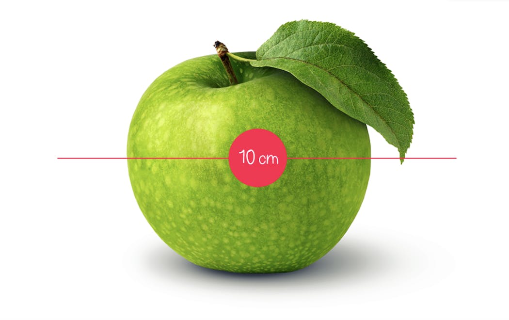 L Evolution Du Fœtus In Utero En 36 Fruits Et Legumes Parents Fr L Evolution Du Fœtus In Utero En 36 Fruits Et Legumes Parents Fr