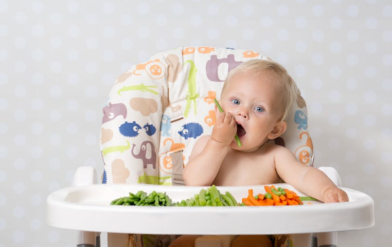 La Dme Ou Blw En Pratique Diversification Menee Par L Enfant Parents Fr La Dme Ou Blw En Pratique Diversification Menee Par L Enfant Parents Fr