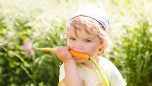 La carotte, un aliment santé pour toute la famille !