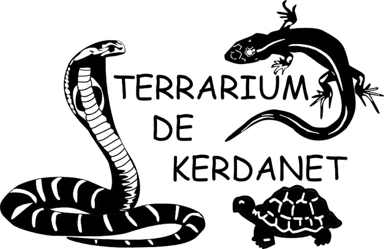 Terrarium et Vivarium de Kerdanet - Plouagat - Tarif Enfant