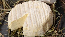 Escherichia coli : 13 enfants intoxiqués par des fromages Saint-Félicien et Saint-Marcellin