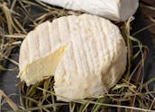 Escherichia coli : 13 enfants intoxiqués par des fromages Saint-Félicien et Saint-Marcellin
