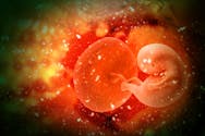 Autisme : le placenta aurait un rôle à jouer dans son apparition