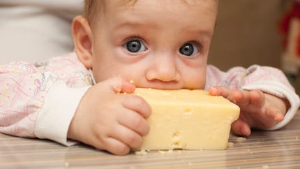 Escherichia Coli : le ministère de l’Agriculture recommande d’éviter le lait cru avant 5 ans