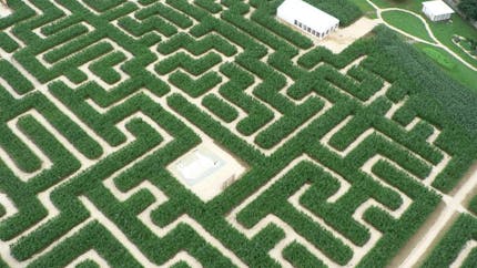Labyrinthe de Bayeux