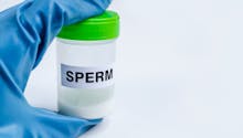 Des parents autorisés à garder le sperme de leur fils décédé pour perpétuer la lignée
