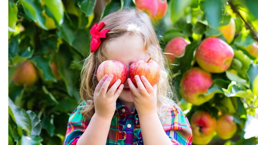 petite fille qui tient deux pommes