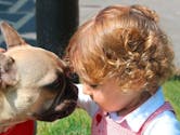 Des parents vétérinaires sauvent le chien du médecin qui a soigné leur bébé