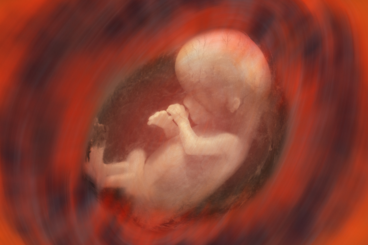 Ces Muscles De Lezard Qu Ont Les Bebes In Utero Et Qui Disparaissent A La Naissance Parents Fr