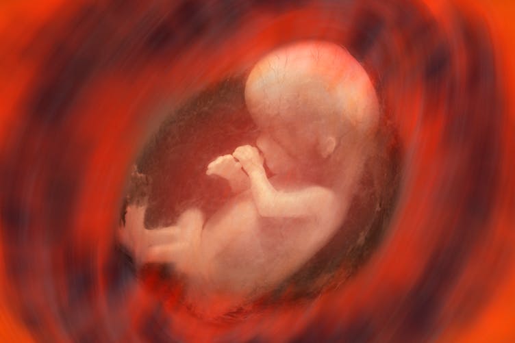 Ces muscles de “lézard” des bébés in utero qui disparaissent à la naissance