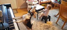 Buzz : une petite fille et son chien forment un duo musical génial !