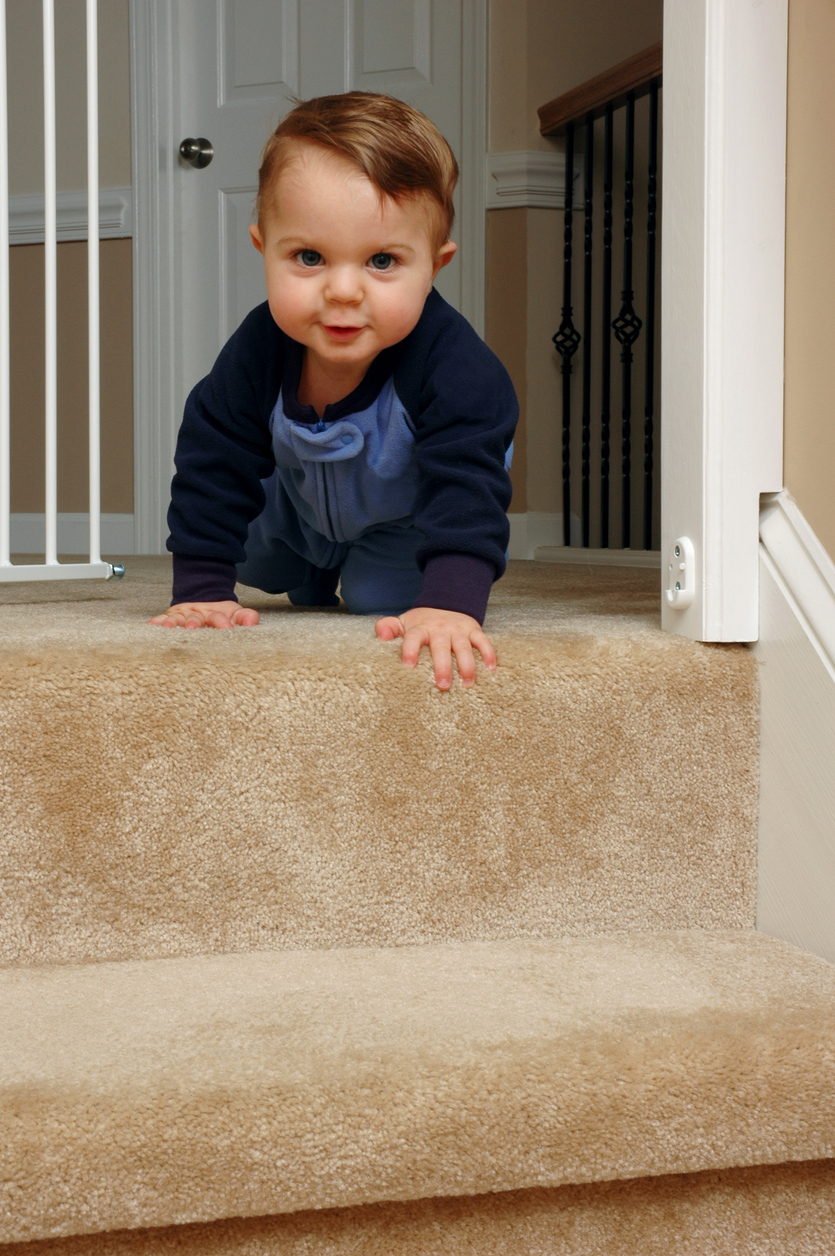 Un Chat Sauve Un Bebe D Une Chute Dans L Escalier Parents Fr