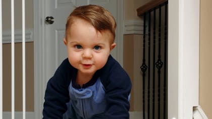 Un Chat Sauve Un Bebe D Une Chute Dans L Escalier Parents Fr Un Chat Sauve Un Bebe D Une Chute Dans L Escalier Parents Fr