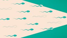 Contraception masculine : bientôt possible grâce à une simple injection ?