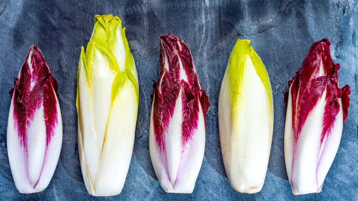 L Endive Un Legume Interessant Nutritionnellement Pour Les Enfants Parents Fr L Endive Un Legume Interessant Nutritionnellement Pour Les Enfants Parents Fr
