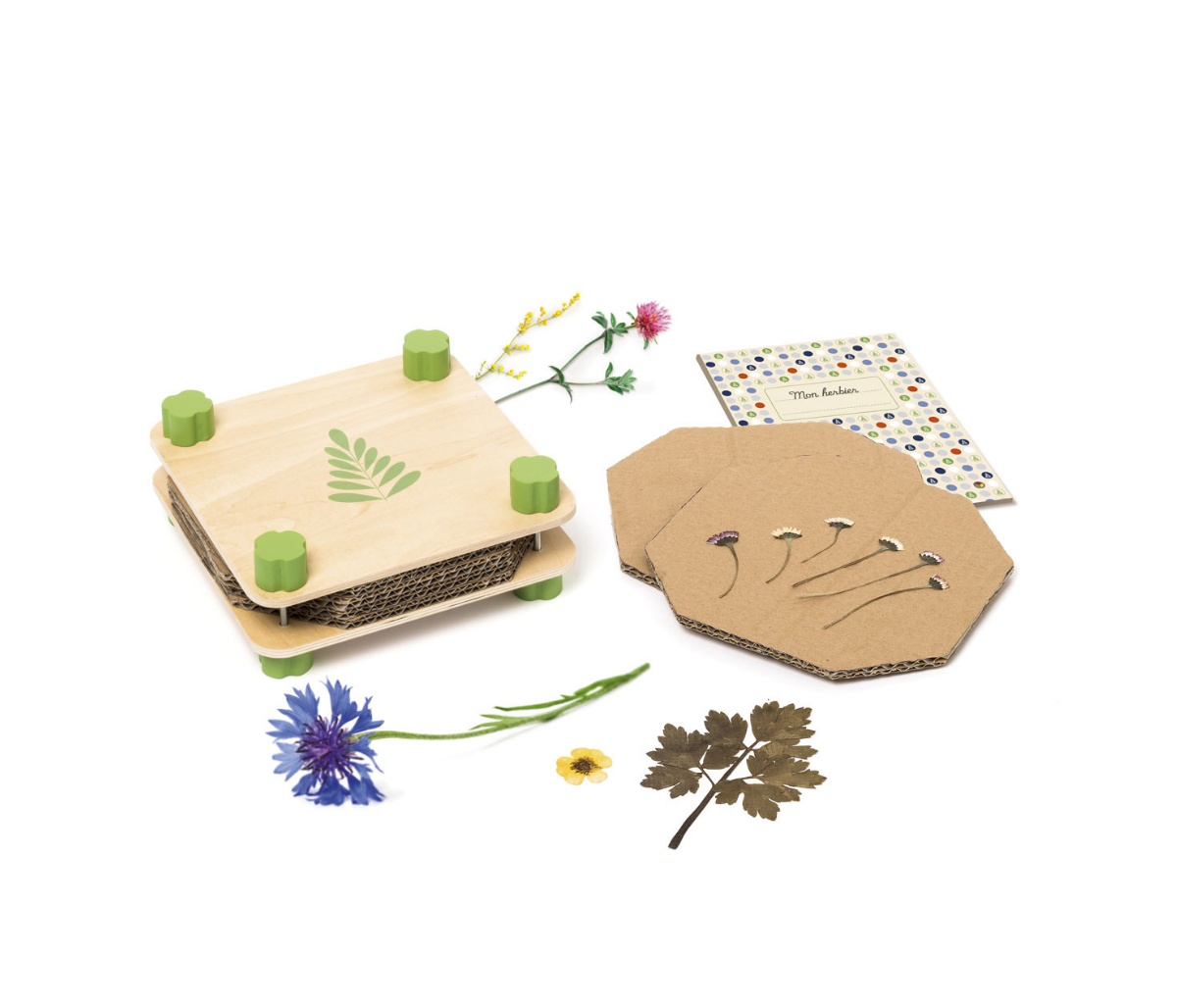 Quel Jeu De Plein Air Choisir La Selection Des Jeux D Exterieur Parents Fr