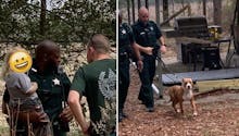 Perdu dans les bois, un petit garçon de 3 ans est protégé par son chien