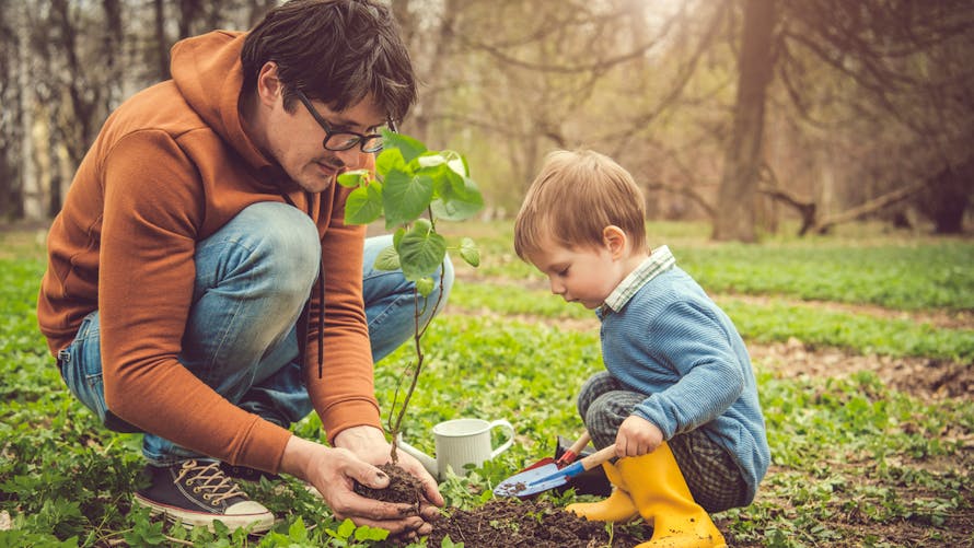 La connexion à la nature rendrait les enfants plus heureux, selon une étude