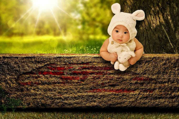 bébé près d'un arbre