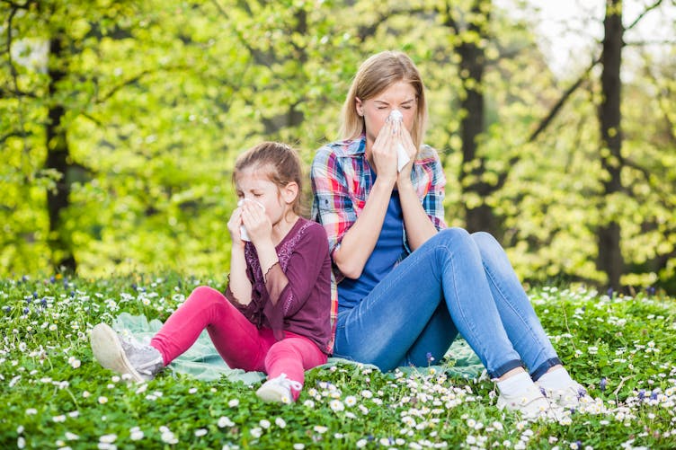 Allergie : les pollens sont de retour en force dans 9 départements