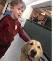 Un enfant en soins intensifs sauvé par un chien