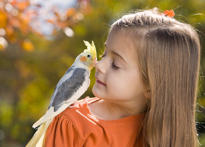 enfant et oiseau