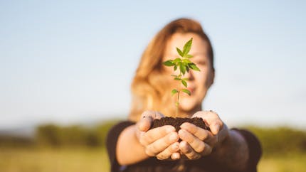 Une étude suggère que la marijuana peut nuire à la fertilité féminine