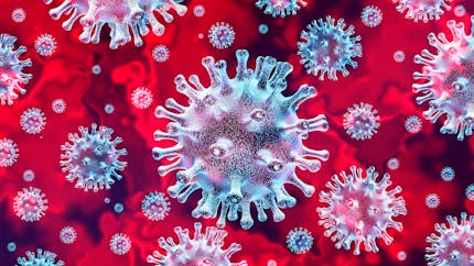 Coronavirus : un vaccin efficace… sur la souris