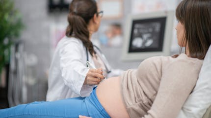 Un lien entre naissance prématurée et le microbiome vaginal de la mère ?