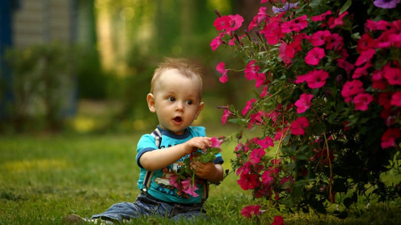enfant étonné près d'un massif de fleurs