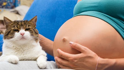 Grossesse : elle tombe enceinte à cause de son chat ! 