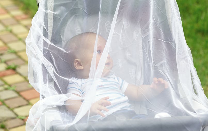Quel Antimoustique Pour Bebe Parents Fr Quel Antimoustique Pour Bebe Parents Fr